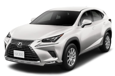 レクサス NX300